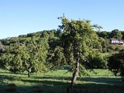 The Folly from the Ancient Orchard in the valley