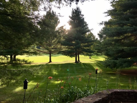 View from the patio, 13th fairway
