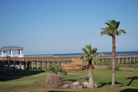 Steps away from the charcoal grill and fire pit or use the gas grill at the club