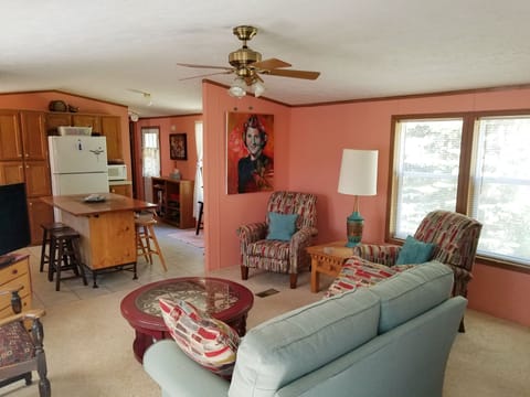 Living room, kitchen