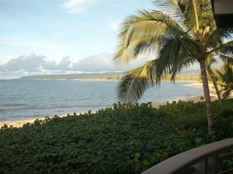 Panoramic ocean view from lanai up North Shore