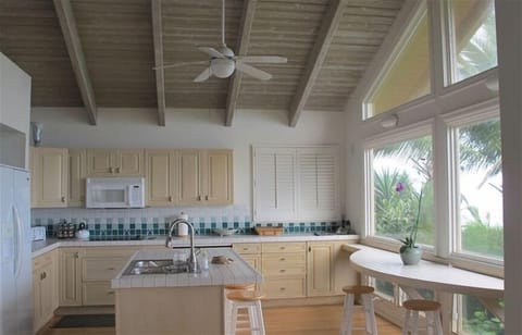 Oceanview gourmet kitchen