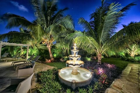 Fountains and Palms are Lighted at night