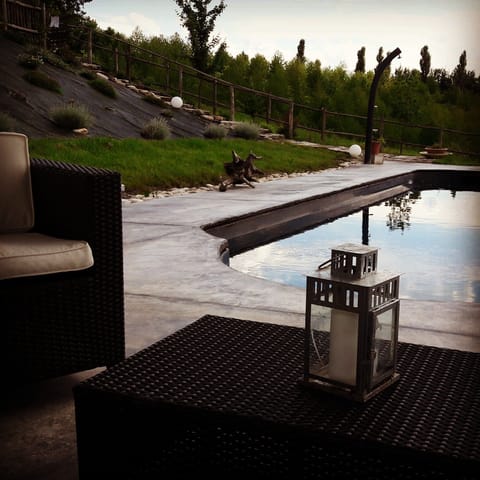 THE POOL