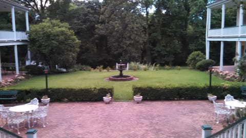 Shared Patio and back yard