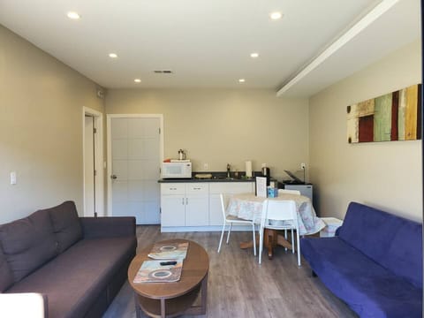 Living area have a small kitchen and two sofa beds