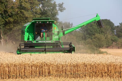 Vacation apartment/apartment for 4 guests with 60m² in Fehmarn OT Todendorf (15554) Apartment in Ostholstein