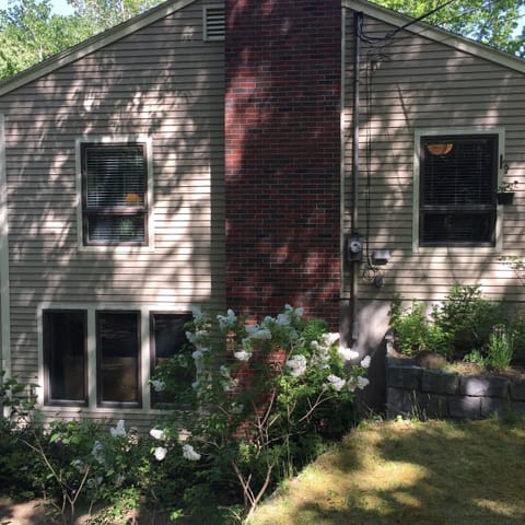 View of house from side yard