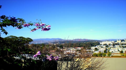 view from deck