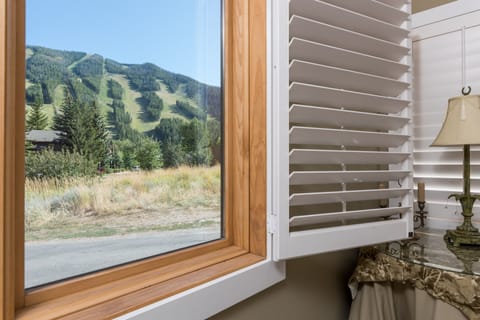 View of the Mountain from Master Bedroom