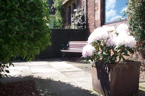 Front patio and seating