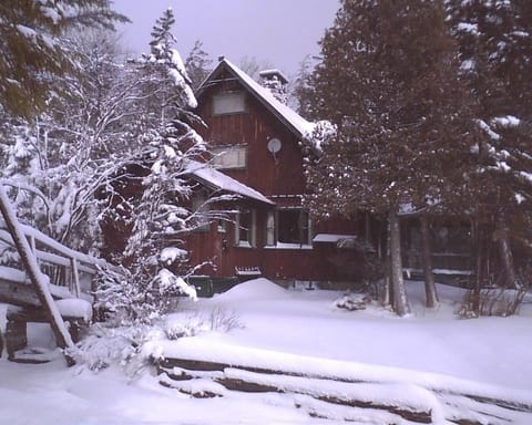 Palmer House in Winter.
