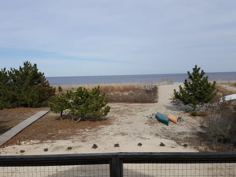 From the Deck