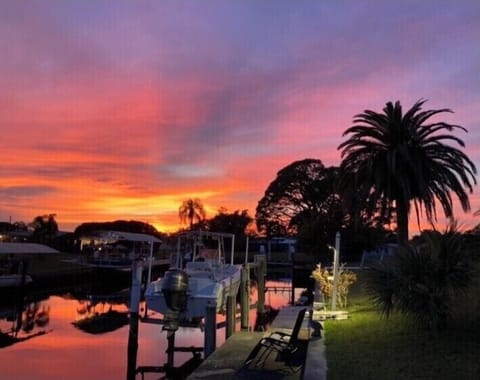 Beautiful backyard sunsets 