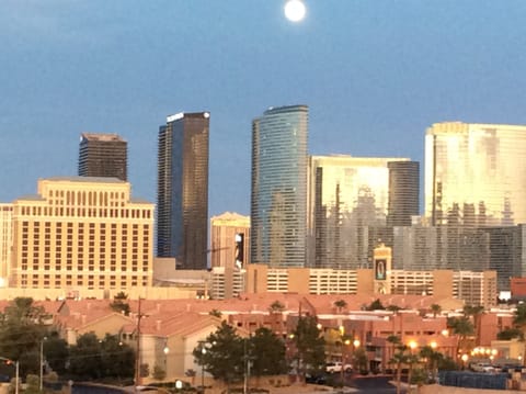 Strip View