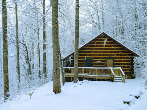 First snowfall - December 2017.  