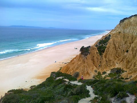 Gale Beach 1