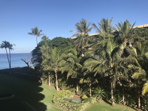 View from Lanai