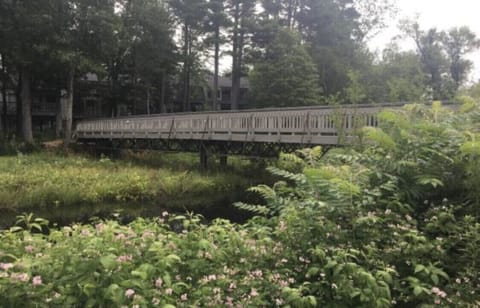 Walkway over the creek to the beach.