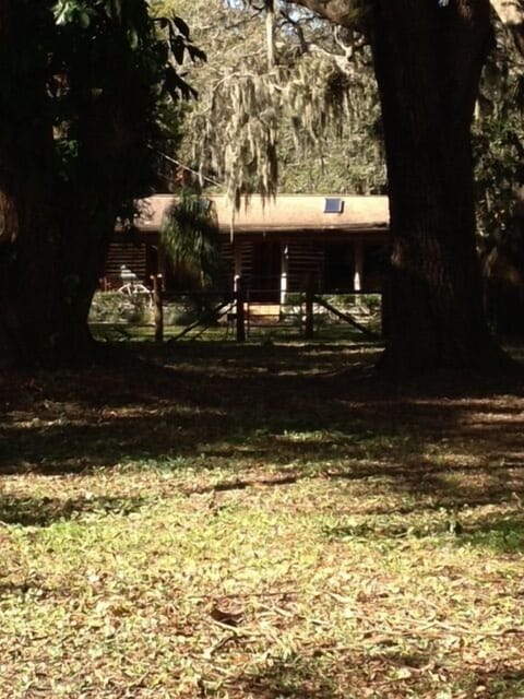 view from the dock looking back at the cabin