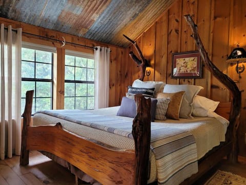 Gorgeous View of Live Oaks Surrounding the Cabin