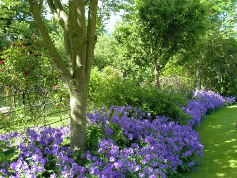 1&frac12; acres of walled gardens | The Mews, Near Masham