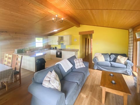 Open plan living space | Edw Lodge - Boatside, Aberedw, near Builth Wells