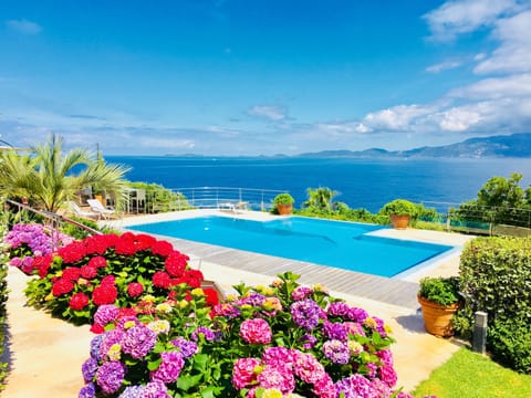 Sea view from garden and pool