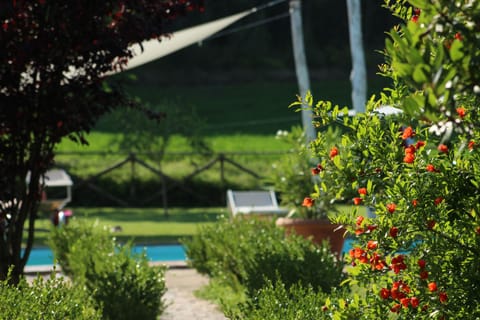 Large swimming pool 100m2