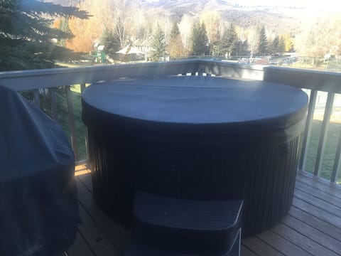 Hot tub and Weber BBQ