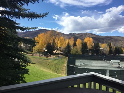 2018 photo from the deck/hot tub