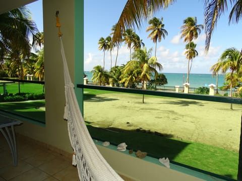 View from  the balcony