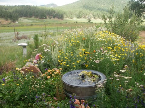 Barrel fountain, Deer Creek Valley in back yard