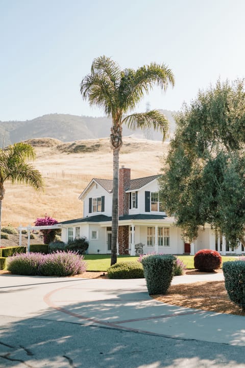 Main House with Mature Landscaping including Palm Trees, Rose Bushes + Lavender