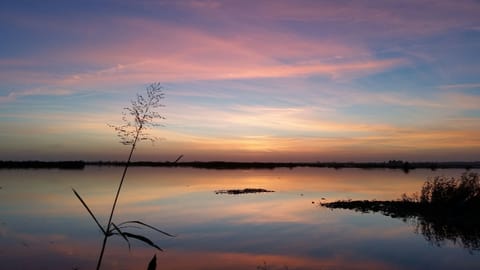 Adorable Florida Getaway, Sunset over Marsh, 10 minutes from House