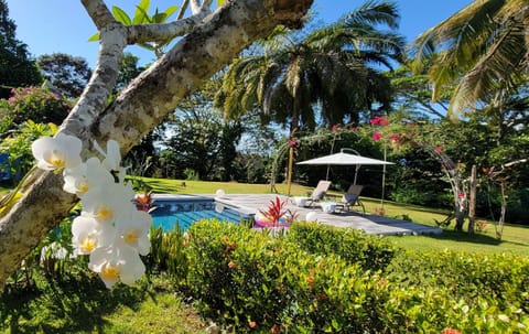 Your private pool