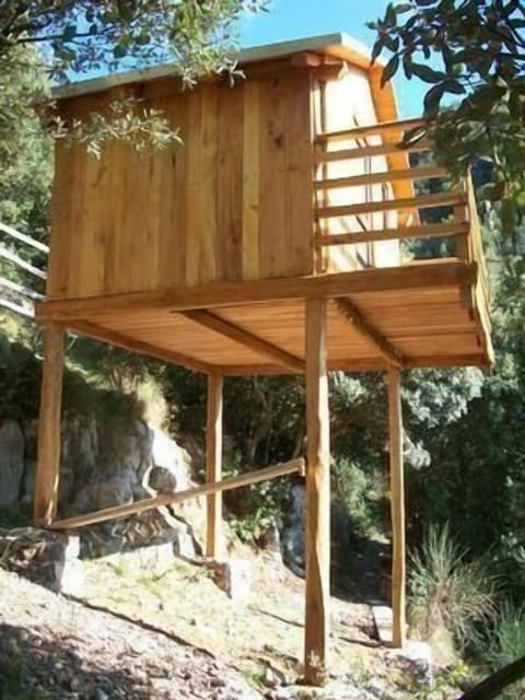 wooden house on stilts