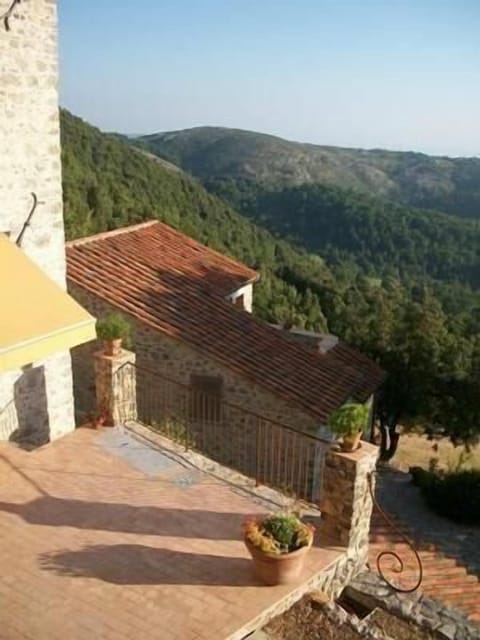 view from the terrace