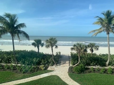 Beachfront boardwalk & landscaping  view from balcony