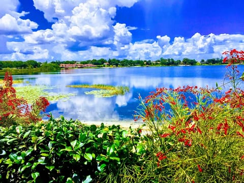 Your view for your waterfront stay in Lake Placid! 