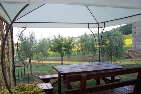 The gazebo in our garden