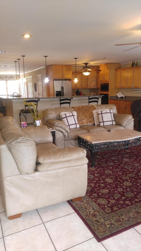 Open living/kitchen/dining area