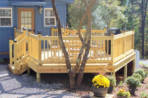 Front Entrance to Cottage. Gas Weber Grill. Double gated deck.