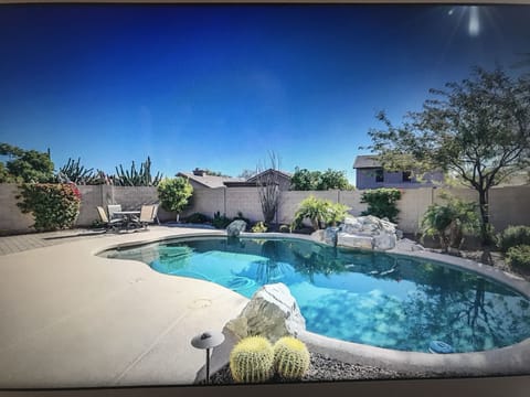Backyard Oasis 