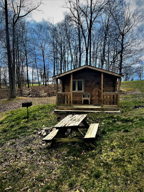 Cabin Includes Picnic Table, Fire Ring and Charcoal Grill