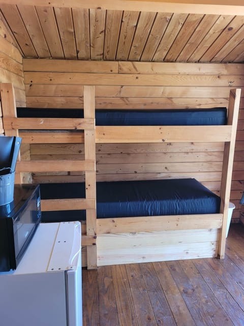 Twin bunk beds