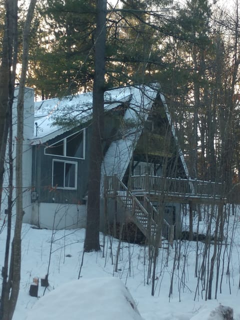 A view of the winter wonderland