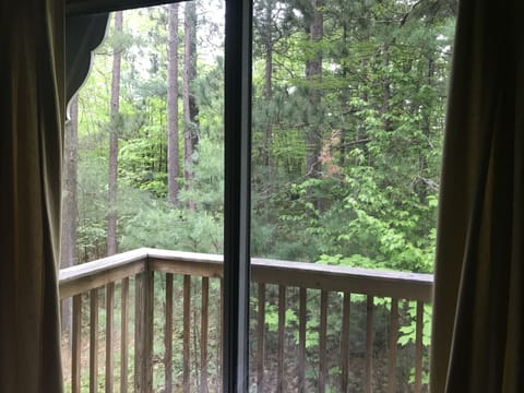 Second level Southeast view from a King bedroom