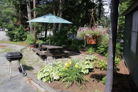 Your own picnic table, firepit, and gas grill