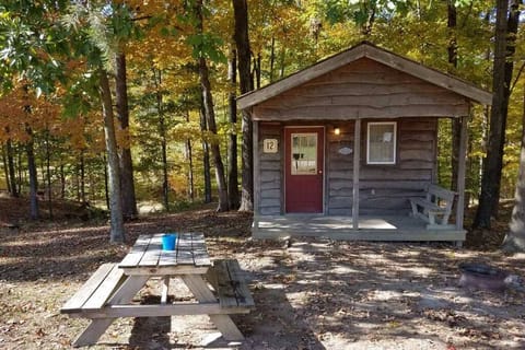 "Martin" Camping Cabin #12 in the fall with picnic table and fire ring.
